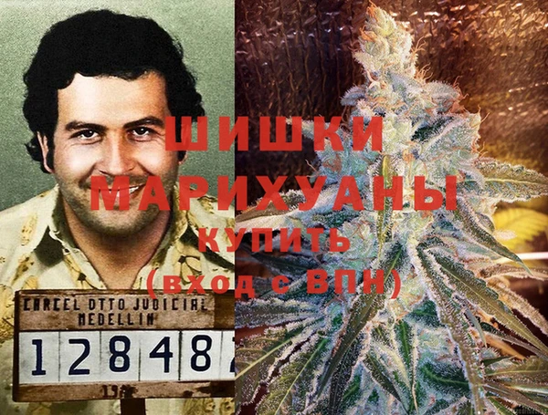 крисы Верхний Тагил