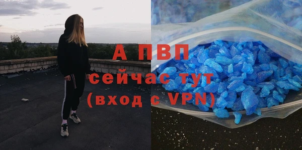 крисы Верхний Тагил