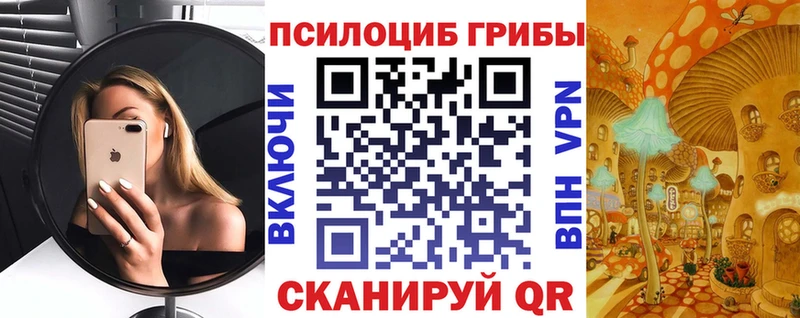 Псилоцибиновые грибы мухоморы  Купить закладки  Рославль 